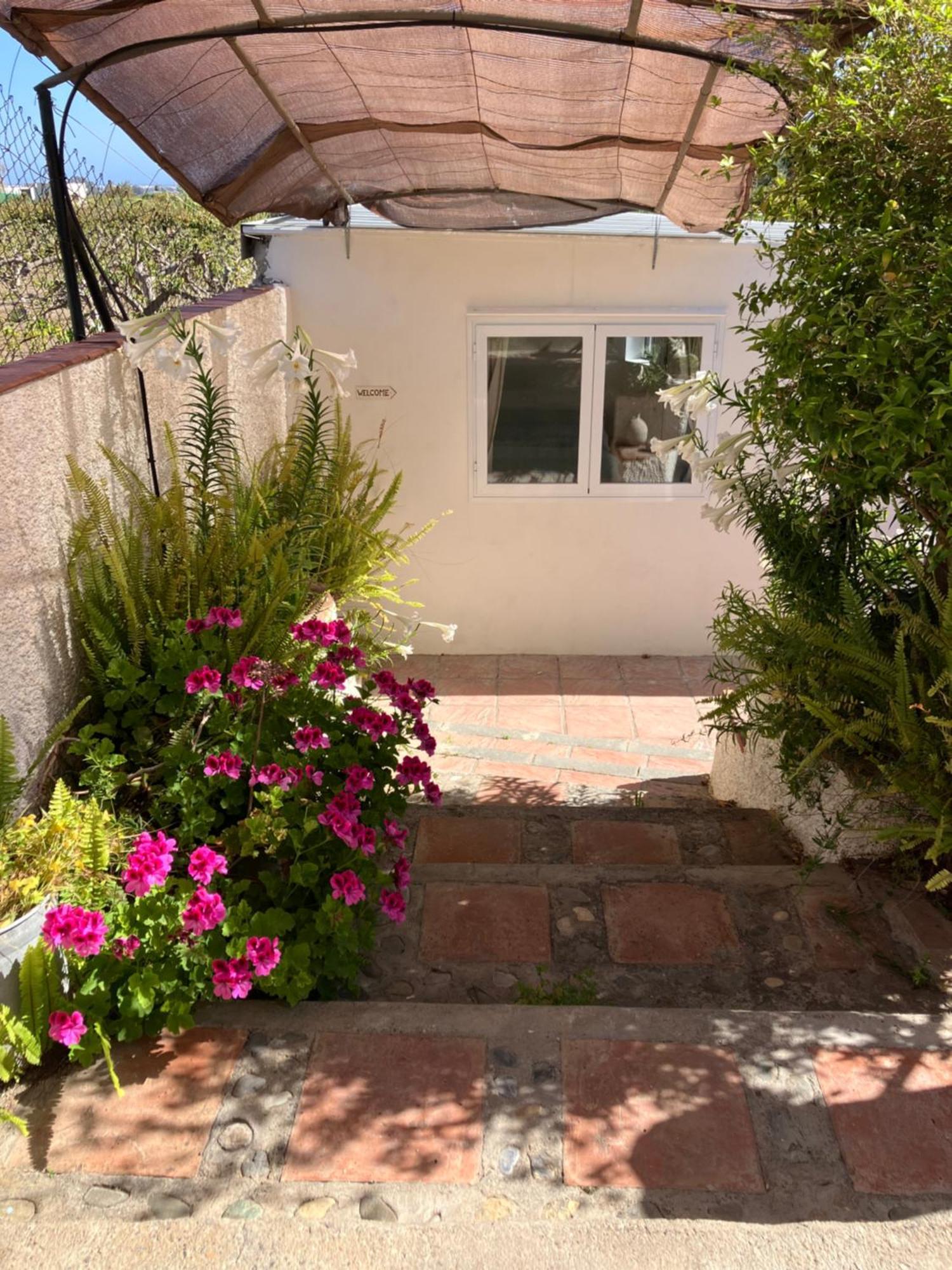 La Penita - Sunny Guesthouse With Private Pool And Garden サロブレーニャ エクステリア 写真
